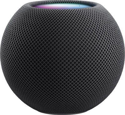 Apple HomePod mini - Rymdgrå