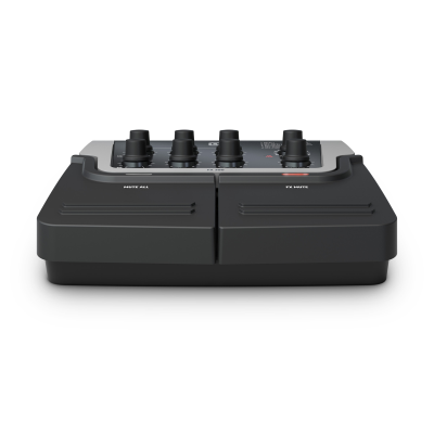 LD Systems FX300 2-kanalspedal med 16 digitala effekter#3